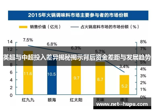 英超与中超投入差异揭秘揭示背后资金差距与发展趋势